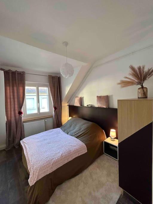 Confortable T3 Juste Renove Au Coeur D'aurillac Apartment *